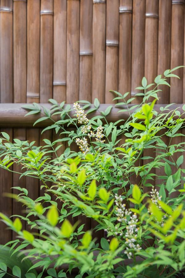 Kyoto Stay Temari ภายนอก รูปภาพ